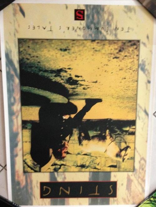 Sting - 61x86 cm - AFFICHE / POSTER État correct - N/A reconditionné disponible sur Fnac