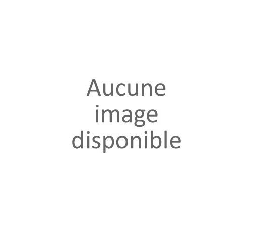 Caméra SPORT EZVIZ S5 PLUS 4K/Ecran 2.5 /Or/Stabilisa/Etanch État correct - EZVIZ reconditionné disponible sur Fnac