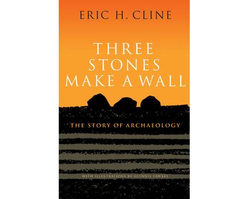 Three Stones Make a Wall État correct - Princeton University Press reconditionné disponible sur Fnac