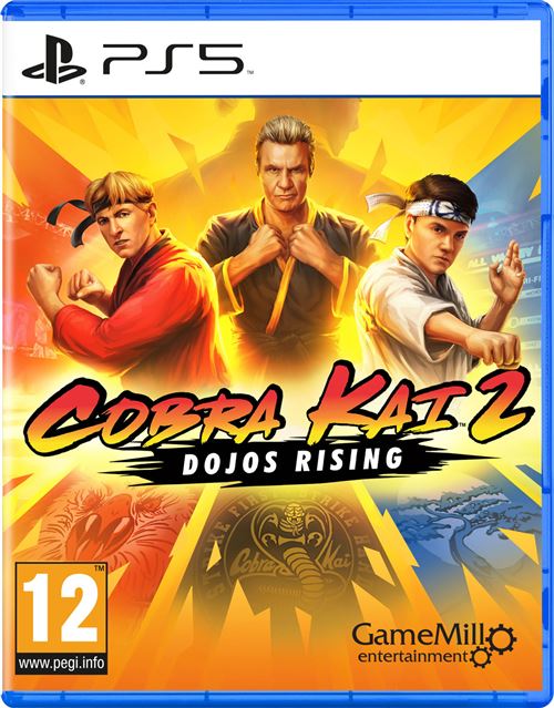Acheter Cobra Kai 2 Dojos rising PlayStation 5 État correct - 16,95 € Cobra Kai 2 Dojos rising PlayStation 5 État correct - Just for Games reconditionné disponible sur Fnac