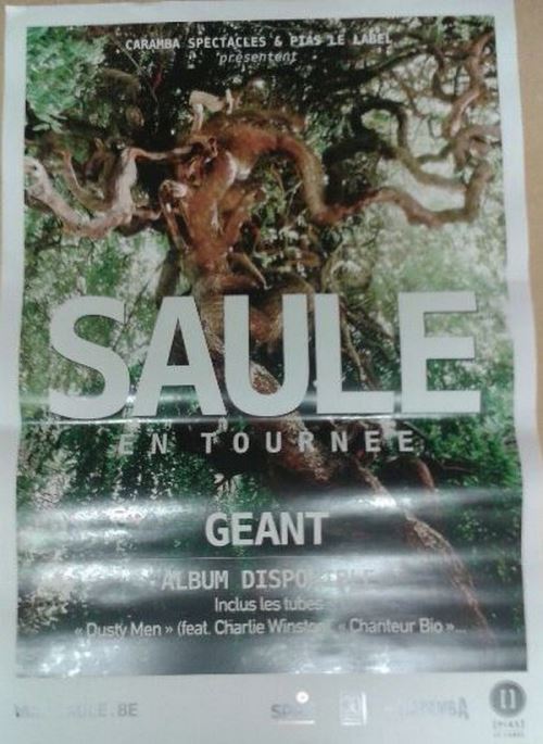 SAULE - 70x100 cm - AFFICHE / POSTER État correct - N/A reconditionné disponible sur Fnac