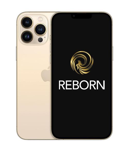 Acheter Apple iPhone 13 Pro Max 6,7"" 5G 128 Go Double SIM Or Reconditionné Grade A Reborn État correct - 394,98 € Apple iPhone 13 Pro Max 6,7"" 5G 128 Go Double SIM Or Reconditionné Grade A Reborn État correct - N/A reconditionné disponible sur Fnac