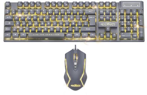 HOGWARTS LEGACY - MOUSE+KEYBOARD AZERTY FR État correct - N/A reconditionné disponible sur Fnac