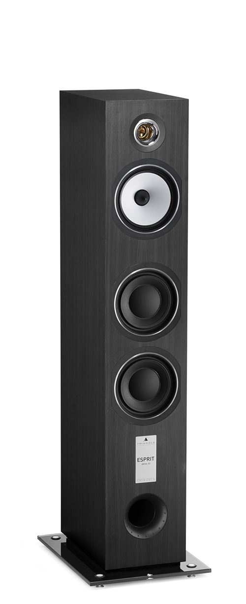 Enceinte colonne Triangle Esprit Antal EZ Noir Frene Vendue à l'unité État correct - N/A reconditionné disponible sur Fnac