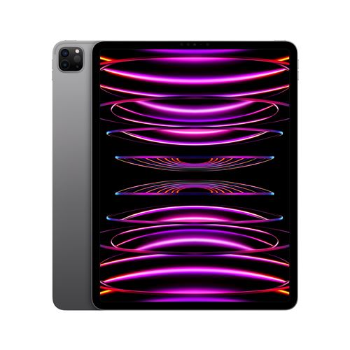 Acheter Apple iPad Pro 12,9"" Puce Apple M2 256Go Gris Sidéral Wifi Fin 2022 État correct - 799,99 € Apple iPad Pro 12,9"" Puce Apple M2 256Go Gris Sidéral Wifi Fin 2022 État correct - Apple reconditionné disponible sur Fnac