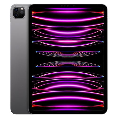 Apple iPad Pro 11"" Puce Apple M2 256 Go Gris Sidéral Wi-Fi 4ème génération Fin 2022 Reconditionné État correct - Apple reconditionné disponible sur Fnac