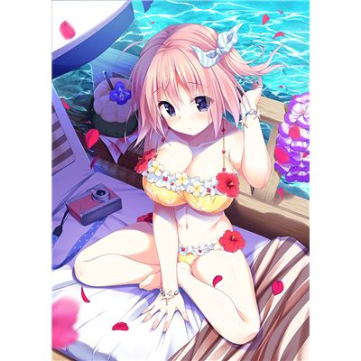 Amaekata Wa Kanojo Nari Ni [Limited Edition] pour PlayStation 4 État correct -  reconditionné disponible sur Fnac