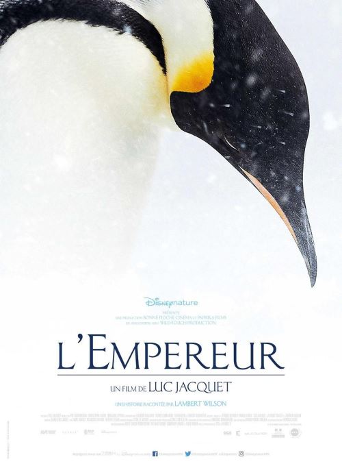 Acheter L'Empereur / La Marche de l'empereur 2 / Disney Nature AFFICHE CINEMA ORIGINALE État correct - 22,99 € L'Empereur / La Marche de l'empereur 2 / Disney Nature AFFICHE CINEMA ORIGINALE État correct - N/A reconditionné disponible sur Fnac