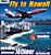Acheter Fly to Hawaii État correct - 99,64 € Fly to Hawaii État correct - Ubisoft reconditionné disponible sur Fnac