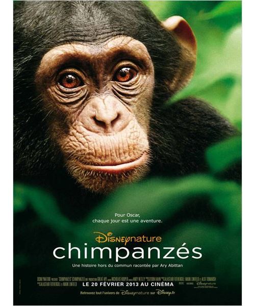 Chimpanzés AFFICHE CINEMA ORIGINALE État correct - N/A reconditionné disponible sur Fnac