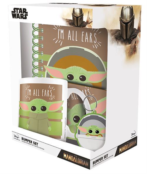 COFFRET MUG PORTE CLE SOUS VERRE CARNET A5 MANDALORIAN État correct - N/A reconditionné disponible sur Fnac