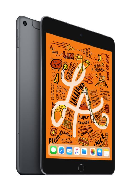 iPad Mini 256 Go WiFi + 4G Gris sidéral 7.9"" 5 ème génération Début 2019