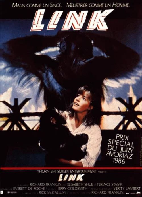 Link AFFICHE CINEMA ORIGINALE État correct - N/A reconditionné disponible sur Fnac