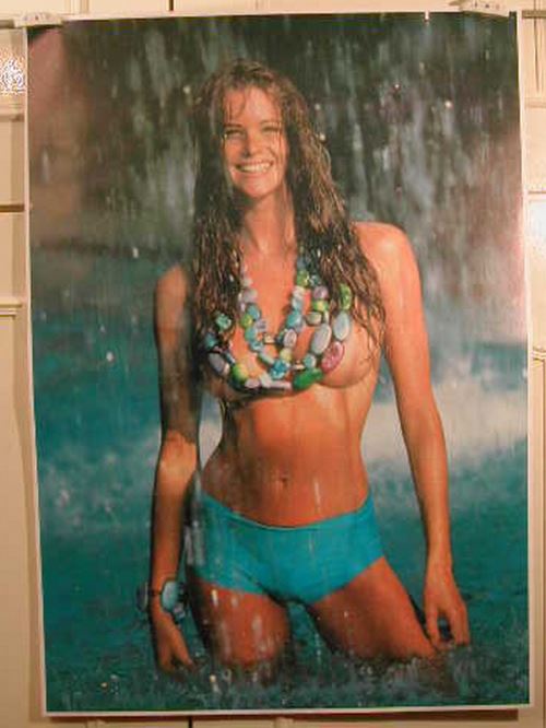 Elle Mc Pherson - 61x86 cm - AFFICHE / POSTER État correct - N/A reconditionné disponible sur Fnac