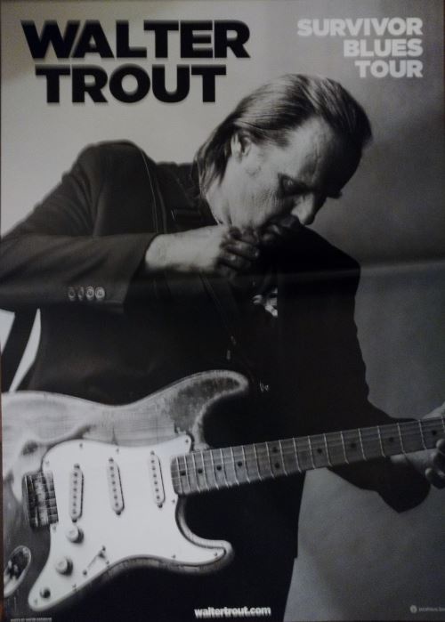 Walter TROUT - Survivor Blues Tour - AFFICHE État correct - N/A reconditionné disponible sur Fnac