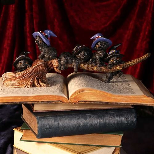 Nemesis Now - Purrfect Broomstick - Figurine de chats noirs familiers de sorcières et manche à balai 27.5cm État correct - N/A reconditionné disponible sur Fnac