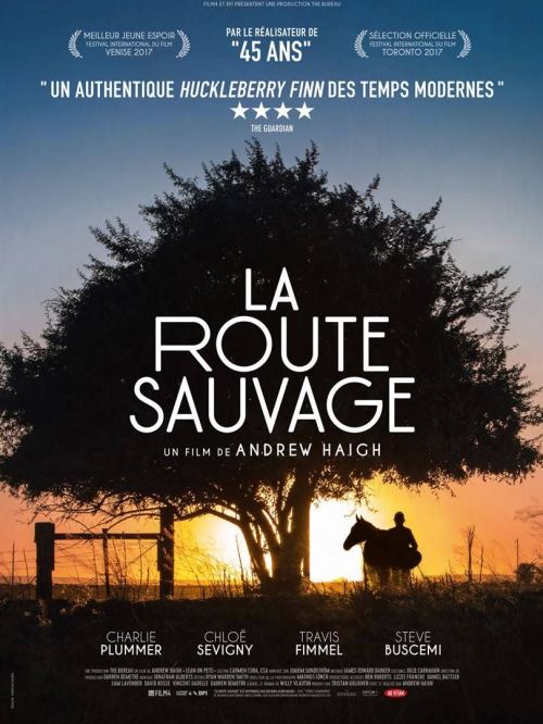 La Route sauvage (Lean on Pete) - AFFICHE CINEMA ORIGINALE État correct - N/A reconditionné disponible sur Fnac