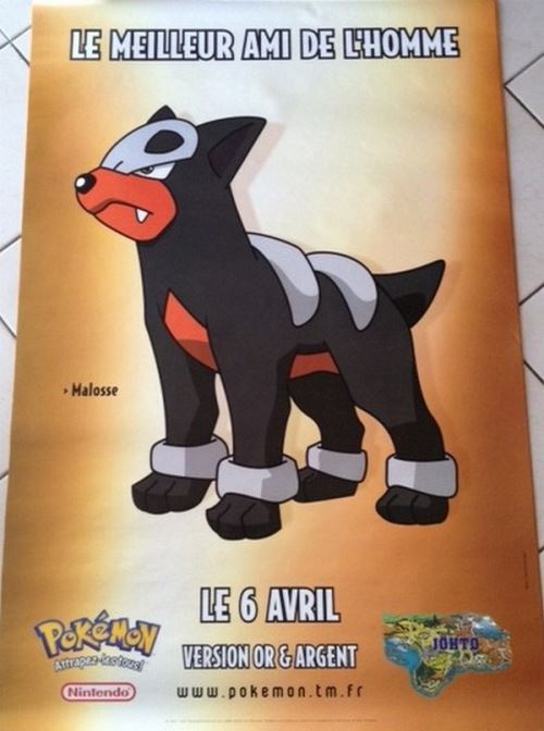 Pokémon - 80x120 cm - AFFICHE / POSTER État correct - N/A reconditionné disponible sur Fnac