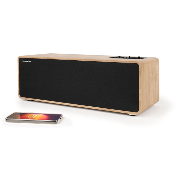 Enceinte bluetooth - THOMSON - Bois et noir - Excellent état