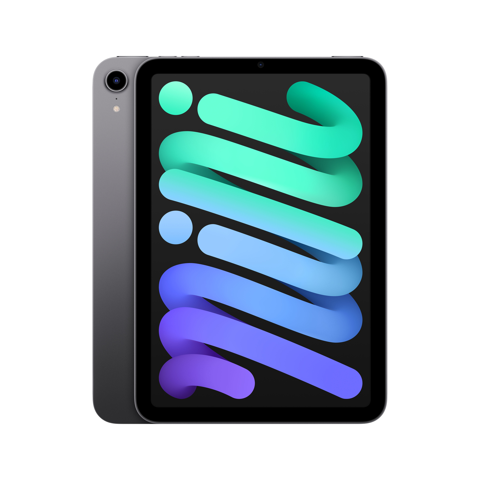 iPad Mini 6e génération 8,3  (2021), 256 Go - WiFi - Gris sidéral - Excellent état
