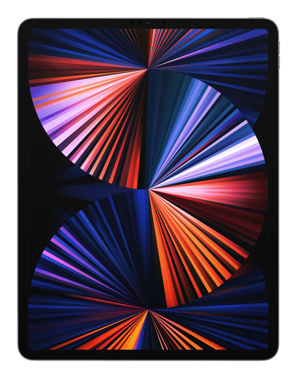 iPad Pro 5e génération 12,9  Puce M1 (2021), 128 Go - Wifi - Gris sidéral - Excellent état