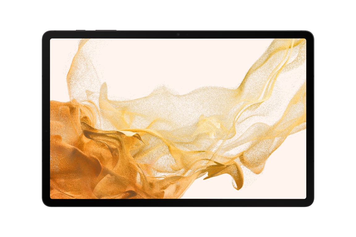 Samsung Galaxy Tab S8+ SM-X800N 128 Go 31,5 cm (12.4 ) Qualcomm Snapdragon 8 Go Gris - Très bon état