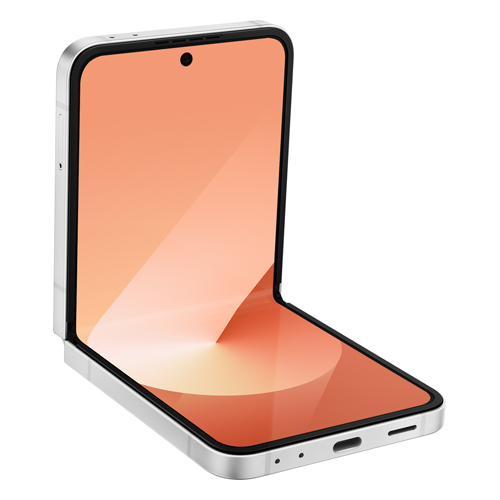 Galaxy Z Flip6 (dual sim) 256 Go rose reconditionné Reconditionné - Samsung reconditionné disponible sur Recommerce
