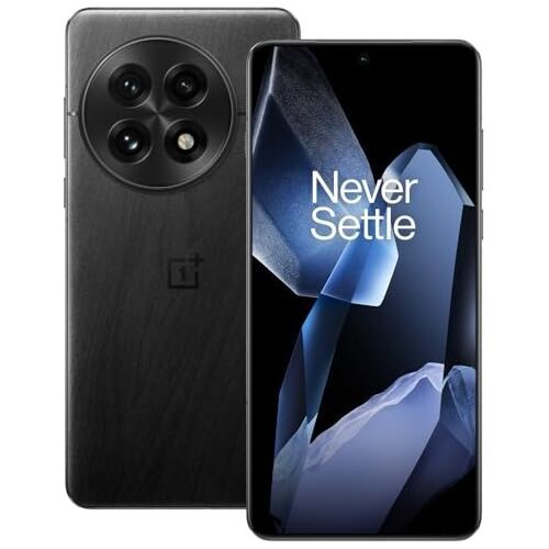 OnePlus 13 12 GB 256 GB Black Eclipse