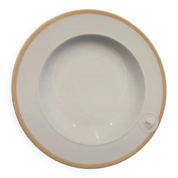 Versace rosenthal