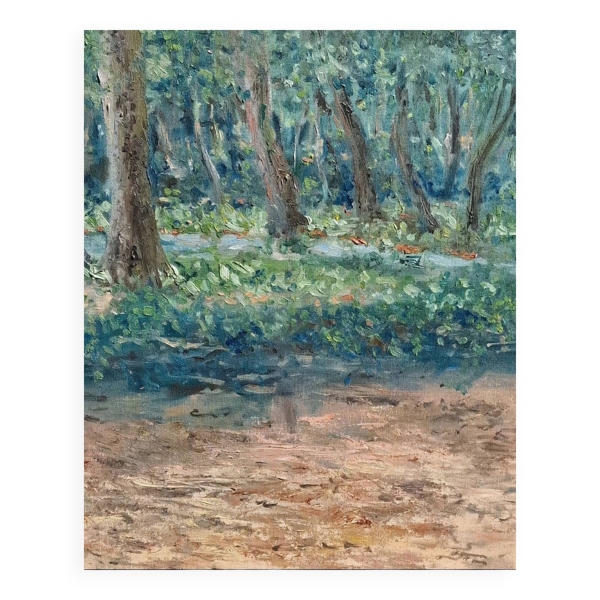 Paysage à Viseu, Portugal - Bon état sur Selency