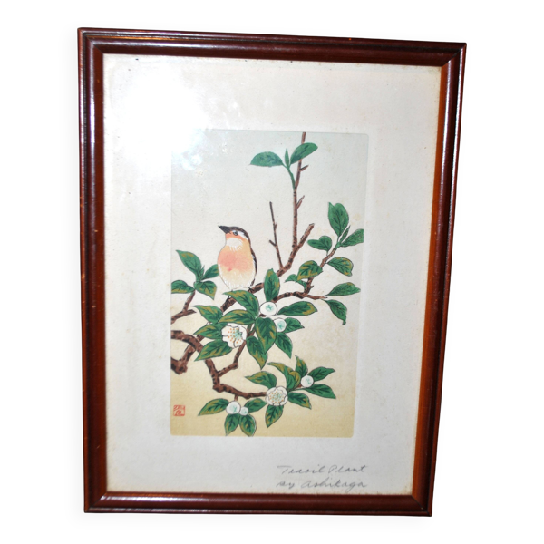 Tableau gravure rehaussée oiseau japon signé ashikaga ''teaoil plant'' 1950 - Bon état sur Selency