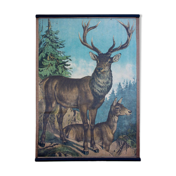 Affiche ''Cerf'' grille éducatif 1891